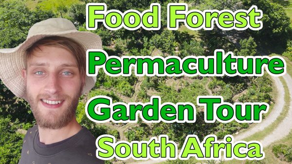Food Forest Permaculture Garden Tour South Africa