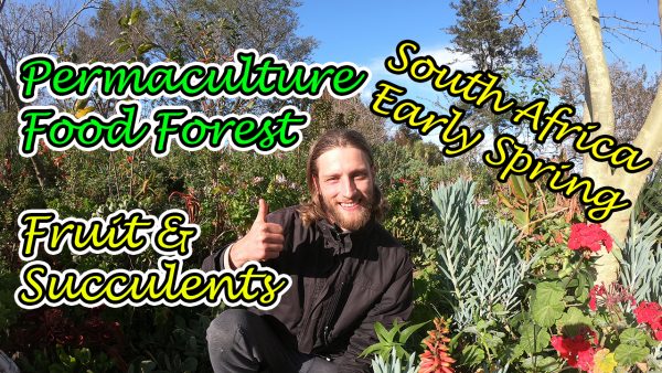 Food Forest and Permaculture Garden Tour South Africa